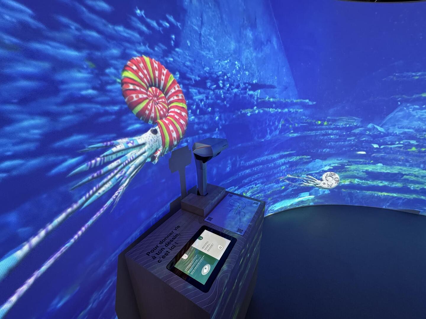 salle immersion ammonite