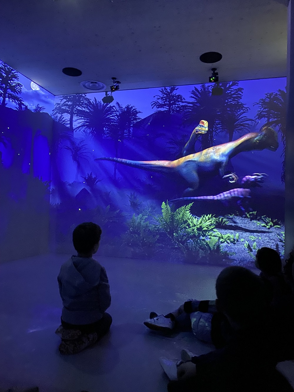 espace immersif Maison Nature Tourisme Hettange-Grande