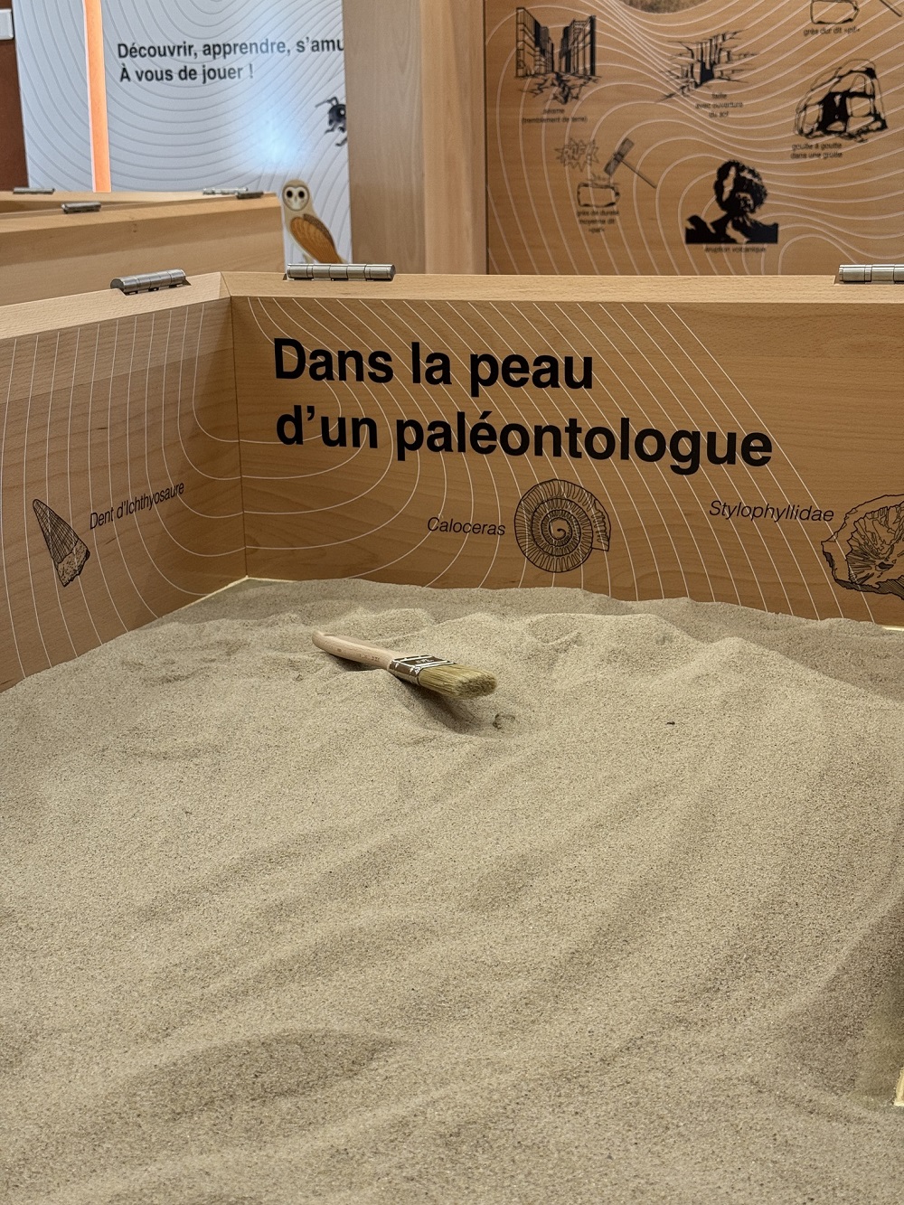 salle ludique bac de fouilles