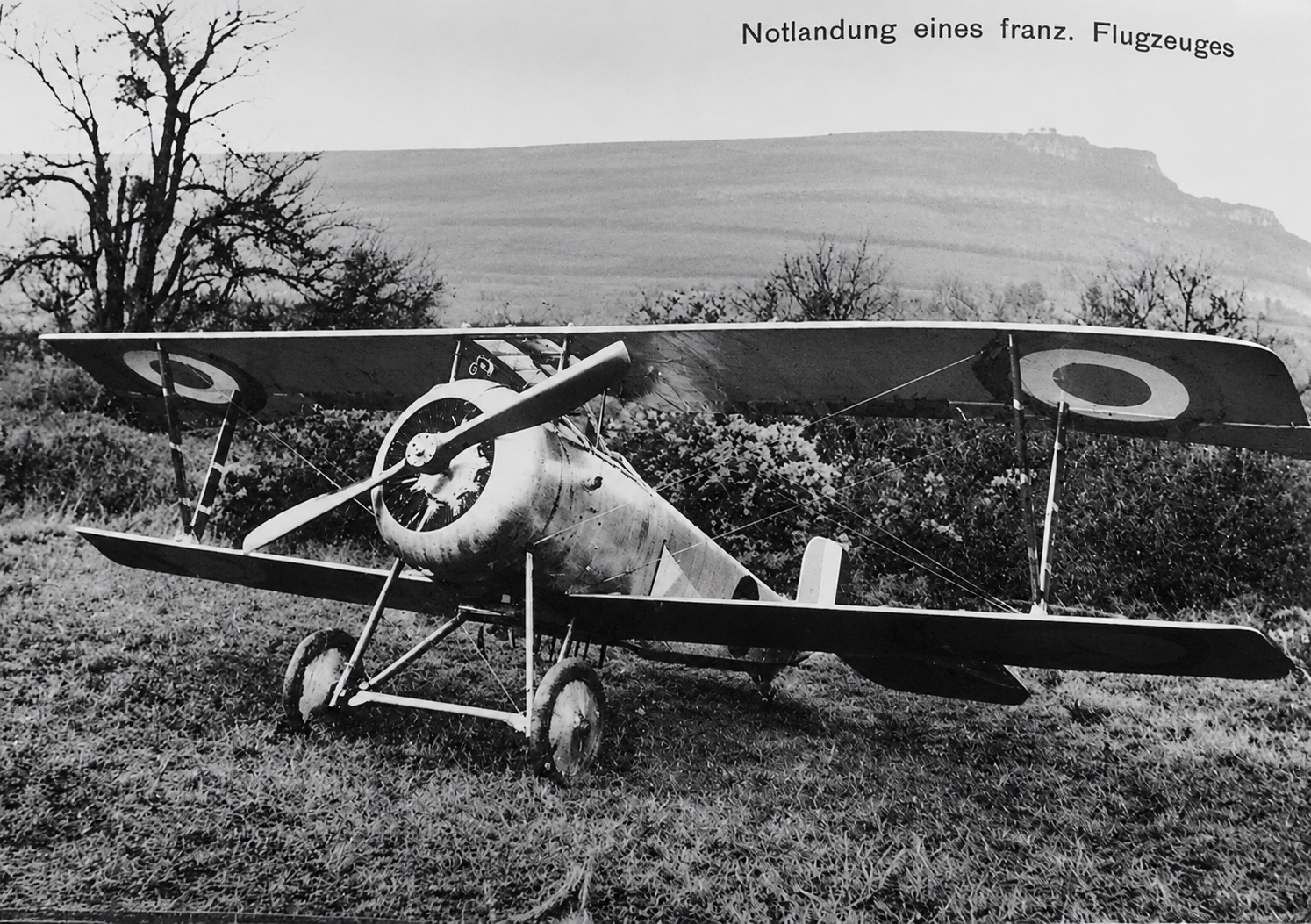 Nieuport 17