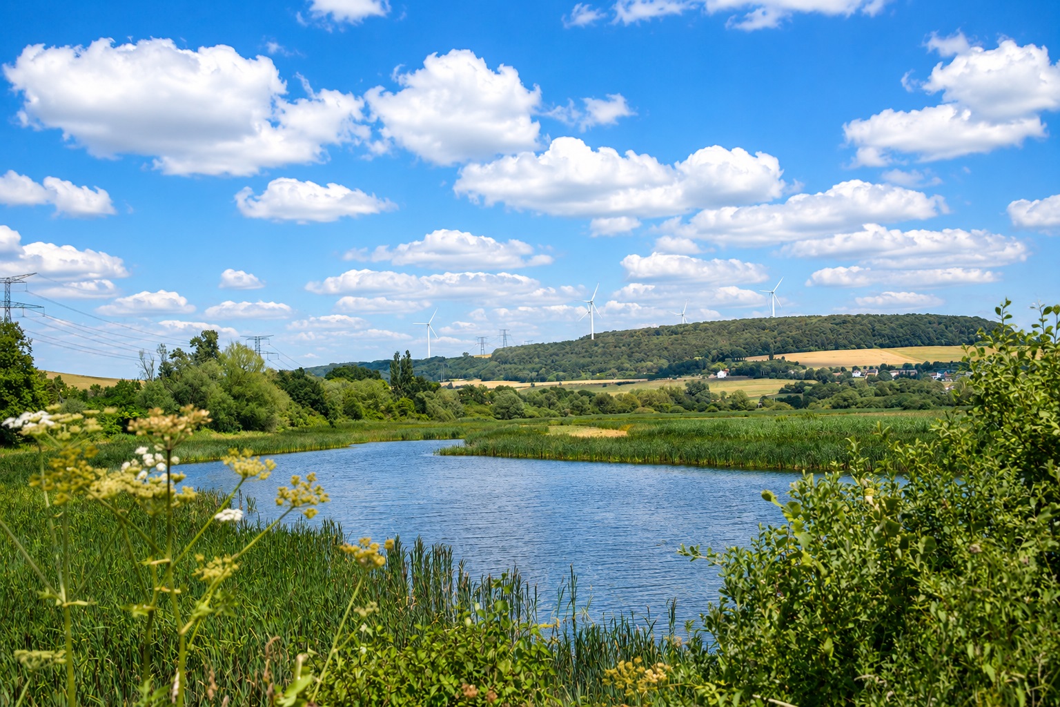 Zone humide du moulin de Velving-Téterchen