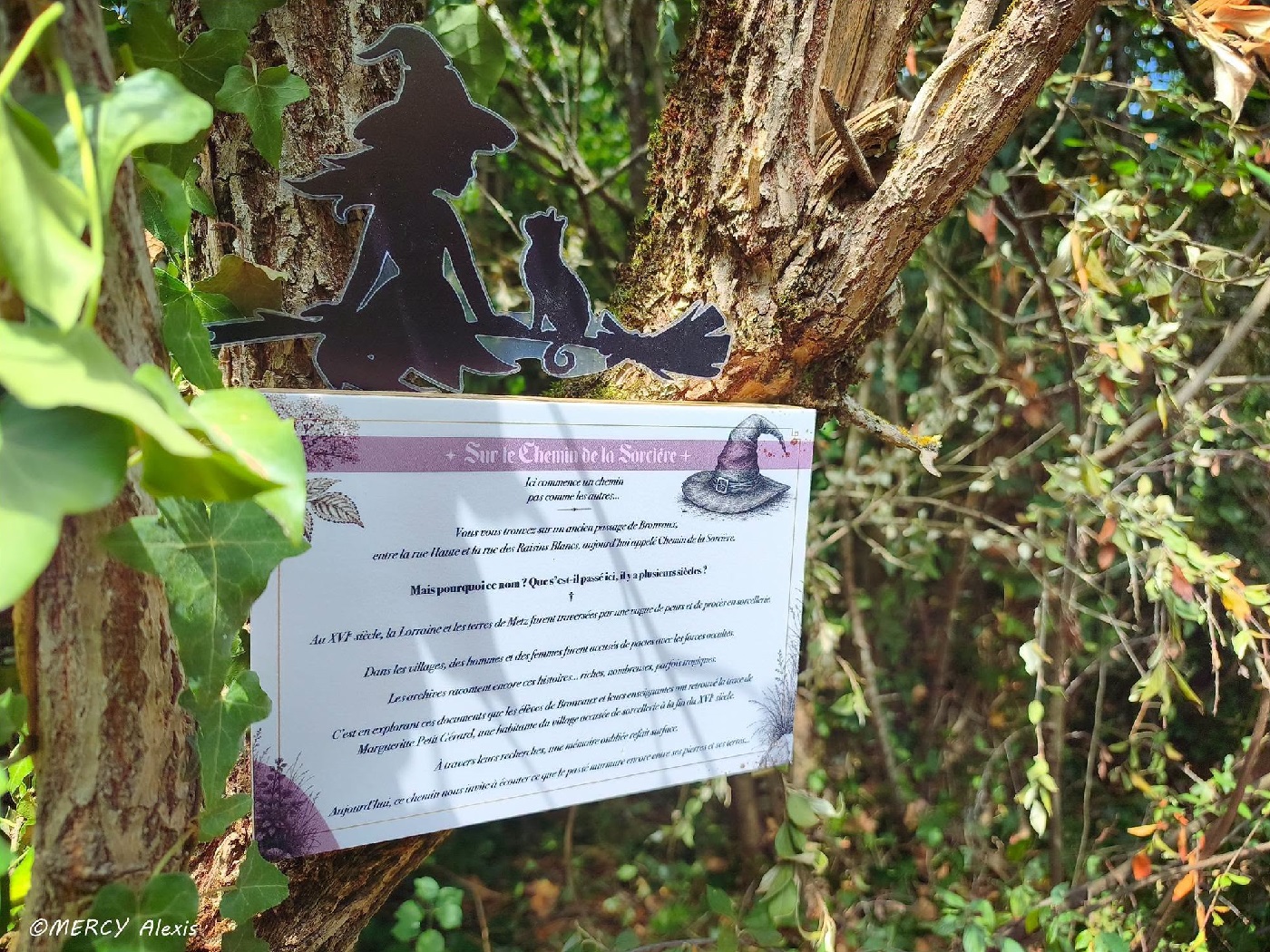 panneau sorcière Bronvaux