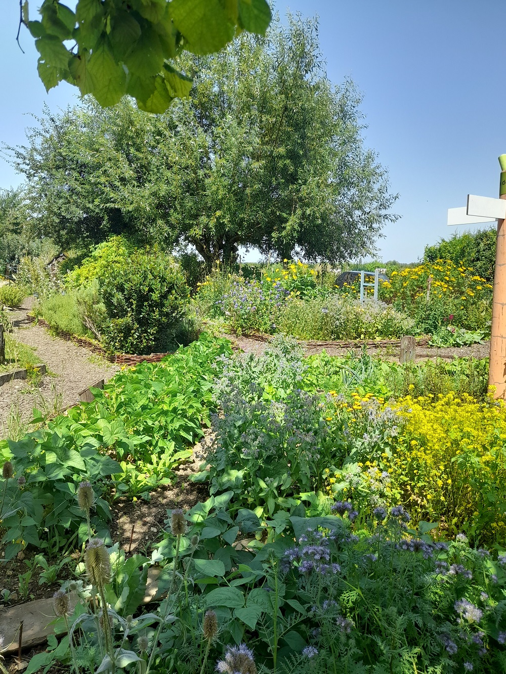 jardins Ecomusée d'Hannonville