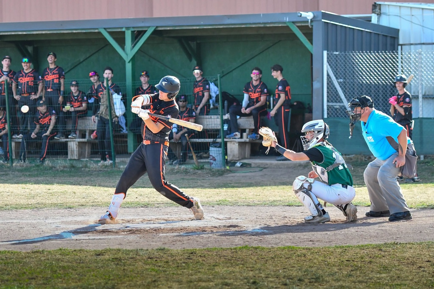 Metz baseball